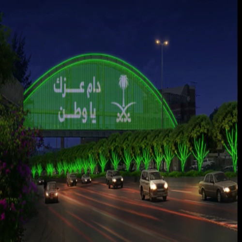 Remote screen control system